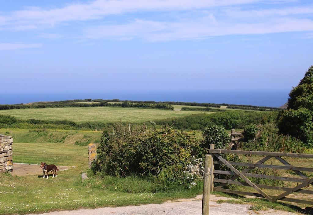 Higher Tresmorn Farm Panzió Crackington Haven Kültér fotó